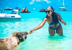 Rose Island Swimming Pigs & Beach Snorkeling Experience Nassau