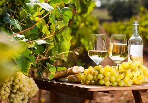 Provencal Market and Wine Tasting Full Day Shared Tour from Nice