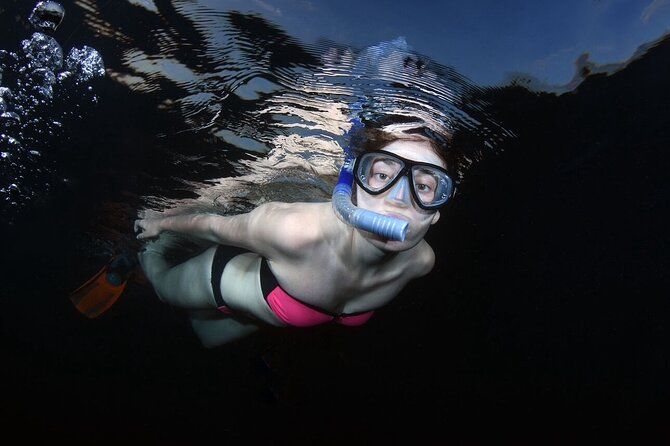 NIGHT TIME Guided Snorkel tour
