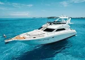 Sea Daddy Private Yacht - 50 ft