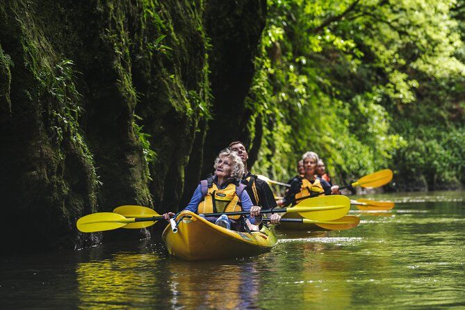 Daytime Canyon Kayak Tour on Waikato River
