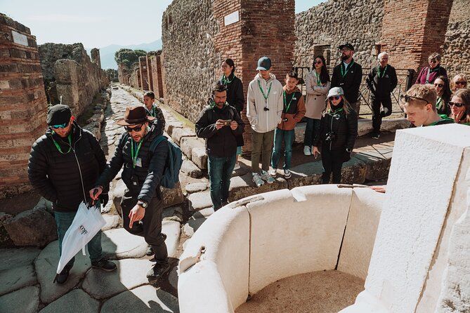 Pompeii and Herculaneum Small Group Excursion from Sorrento