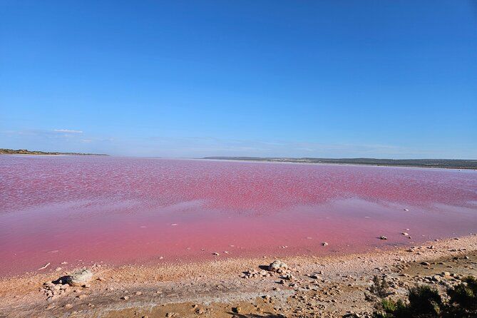 Private 2-Day Tour; Pink Lake,Natures Window & Pinnacles