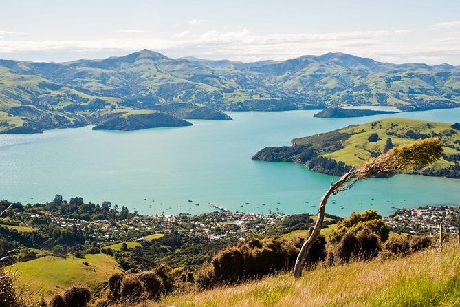 Discover Akaroa: Self Guided Audio Tour