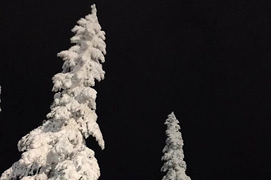 Slow down and enjoy winter on a private snowshoe tour.