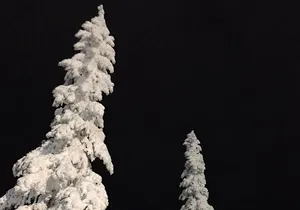 Slow down and enjoy winter on a private snowshoe tour.