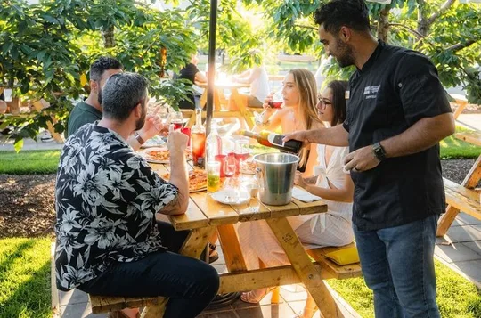 Lunch in the Vineyard: A Scenic Niagara Wine Tour Experience