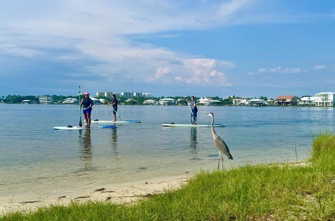 Gulf Shores & Orange Beach Stand Up Paddle Boarding Lesson & Tour
