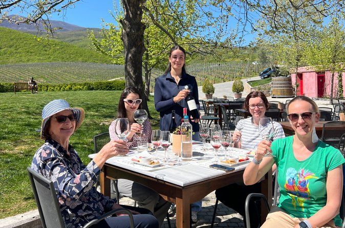 Private Day Trip from Thessaloniki to Vergina, Naousa, and Edessa