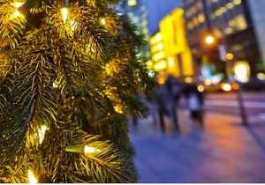Holiday Trees & Treats Crawl (8 must see spots!) in NYC