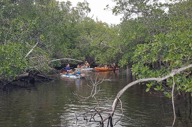 One Way Ticket To Paradise Ft. Lauderdale Exploration Paddle Tour