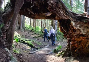 Adventure Hike | ALASKAN WILDERNESS TRAIL