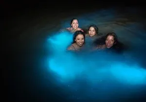 Luminous Lagoon Night Tour