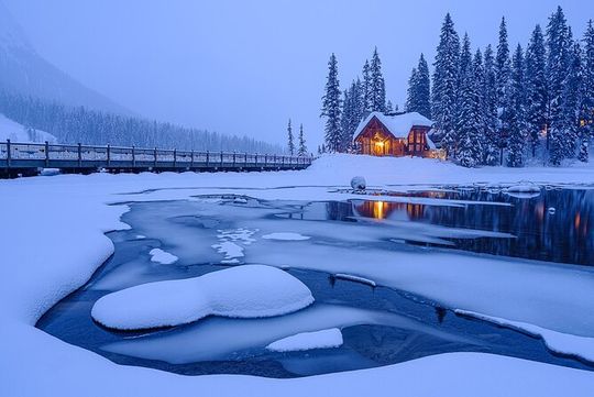 Emerald Lake,Natural Bridge, Peyto Lake Small Group Half Day Tour