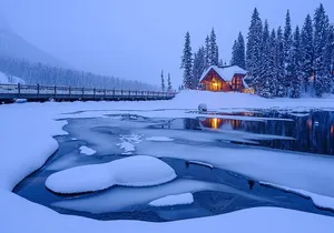Emerald Lake,Natural Bridge, Peyto Lake Small Group Half Day Tour