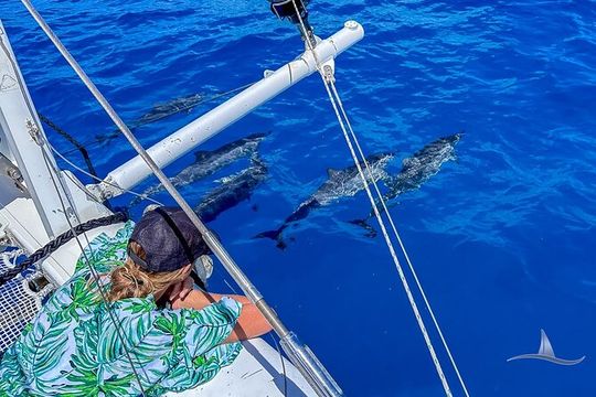 3hr Luxury Private Sailing Catamaran in Waikiki for 1 to 6 People
