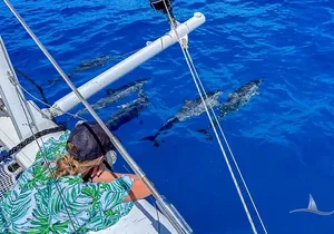 3hr Luxury Private Sailing Catamaran in Waikiki for 1 to 6 People