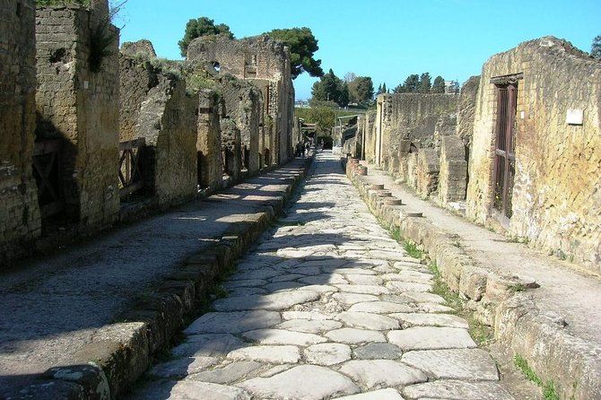 Private full day tour Herculaneum ruins Mt Vesuvio and Winery