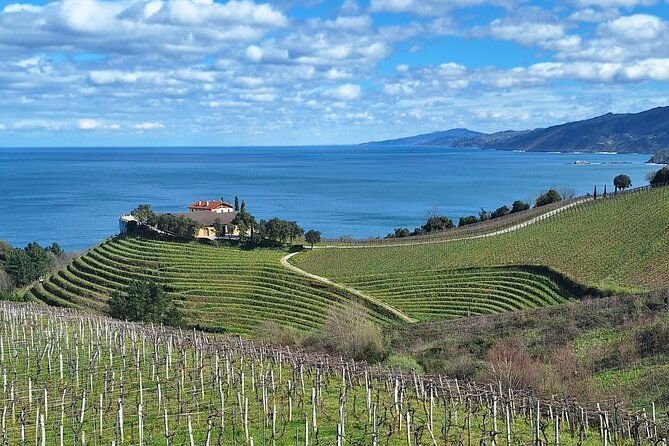 Half day Txakoli Wine and Getaria Tour