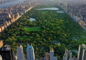 Classic 1-Hour Central Park Pedicab Tour