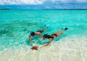 Sunset Catamaran cruise, Snorkeling and Rick's Cafe from Mobay