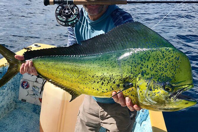 Fly Fishing & Sportfishing — Isla Cerralvo - Sea of Cortez