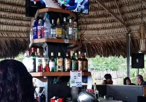 Bars hopping montego Bay