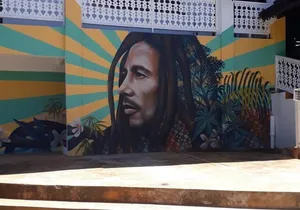 Bob Marley Nine Mile Sightseeing Tour from Ocho Rios