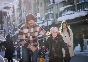 Private Winter Whistler and Shannon Falls Sightseeing Tour