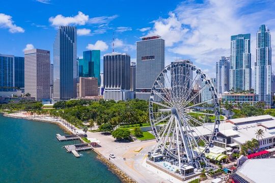 Shore Excursion from Port of Miami: Downtown Private Tour