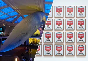 American Museum of Natural History and MOMA Combo Tickets