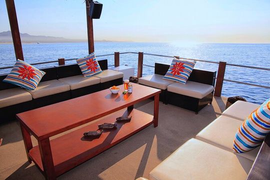 Group Getaway: Private Cabo Catamaran with Water Toys for 20ppl