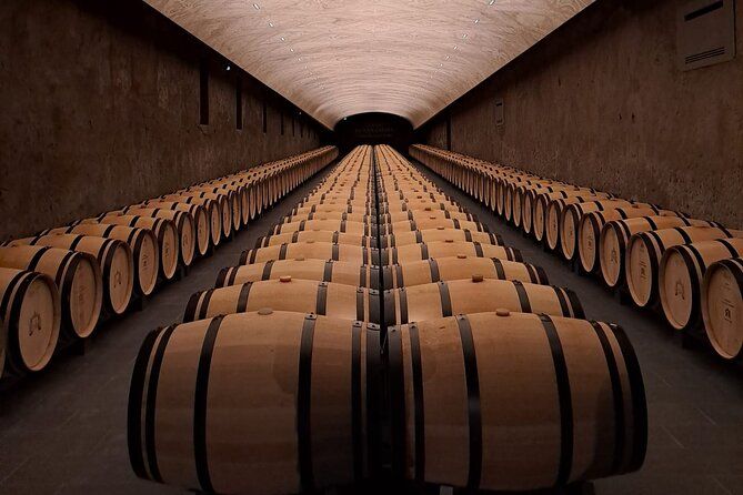 Private Bordeaux wine tour with wine pro 8h (up to 7 people)