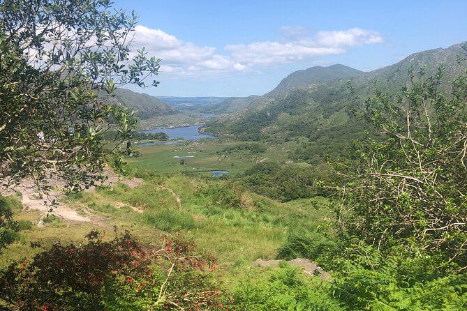 Private Guided Tour of Ireland