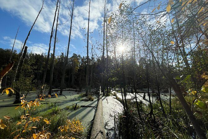 Guided hike in Berlin/Brandenburg