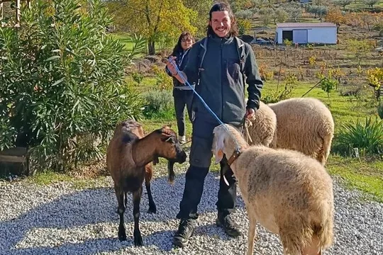 Ecotourism: Organic Farm & Animal Tour near Serra da Estrela