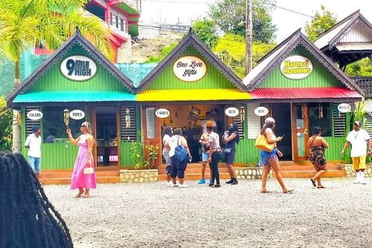 Day Trip to Bob Marley Nine Mile from Montego Bay or Falmouth