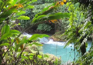 Cranbrook Flower Forest tour