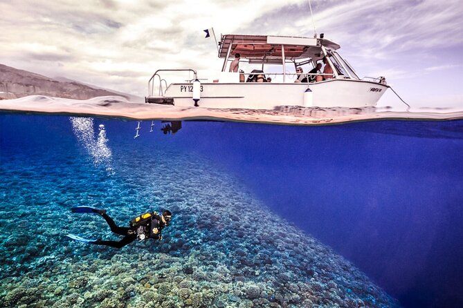 Double Diving Adventure Exploration for Certified Divers