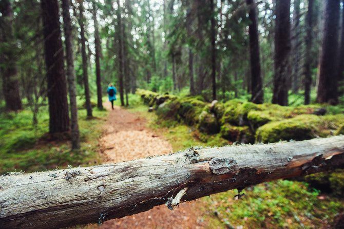 Guided Walking in the Baltic States in 14 Days