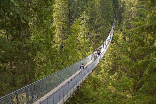 Vancouver Highlights and Capilano Suspension Park Tour - Private Charter (7 hrs)