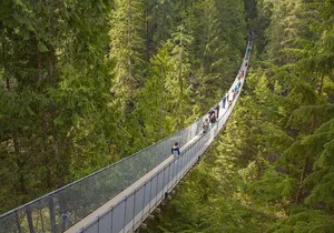 Vancouver Highlights and Capilano Suspension Park Tour - Private Charter (7 hrs)