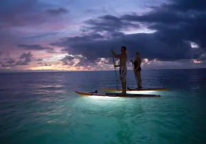 GLOW Stand Up Paddle at Twilight