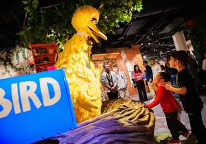 American Dream Sesame Street Learn + Play Ticket