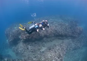 Full Day Scuba Dive Off The Na Pali Coast, Kaua’i-Mana Crack