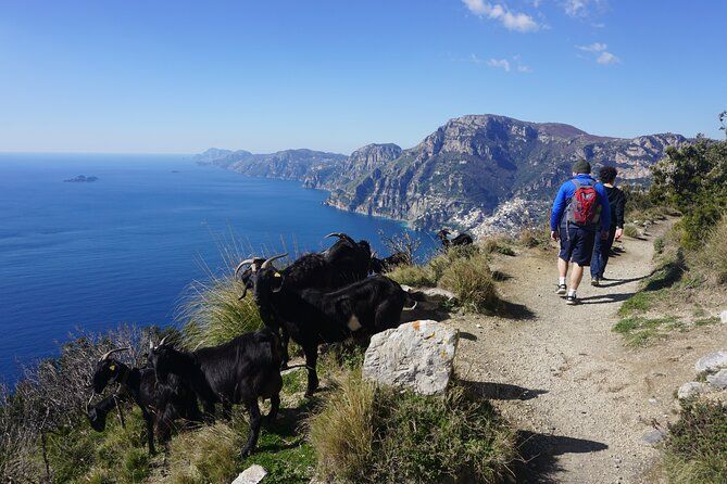 Amalfi Coast Trekking & Positano Amalfi Ravello Maiori - 4 Days
