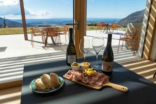 Tasting of Organic Mountain Wines with Vineyard and Cellar Tour