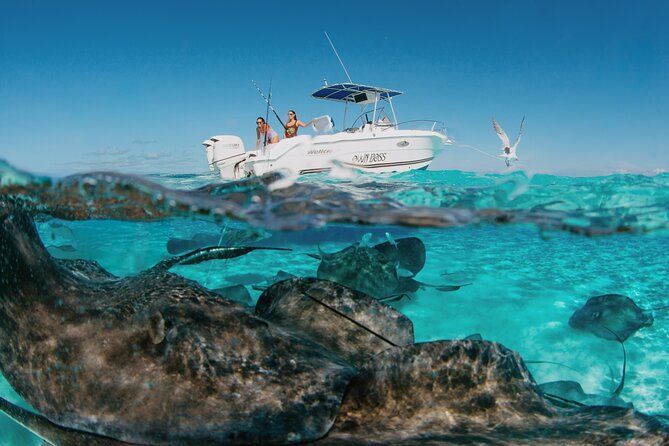 Cayman Islands 5‑Hour Custom Private Charter with Reef Fishing