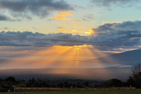 Maui Paint and Sip at Maui Bird House
