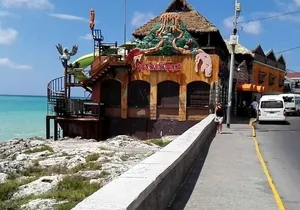 Montego Bay Sightseeing Small Group Tour